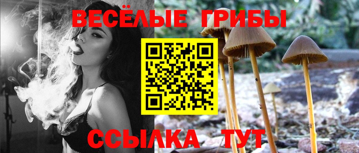 Галлюциногенные грибы мухоморы Киржач